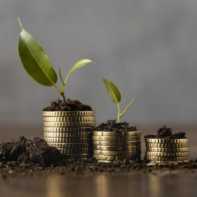stacked-coins-with-dirt-plant (1)